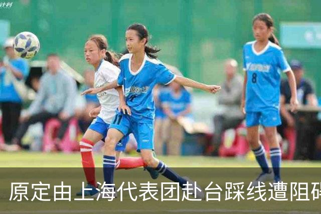 原定由上海代表团赴台踩线遭阻碍，国台办指责民进党当局无理干预