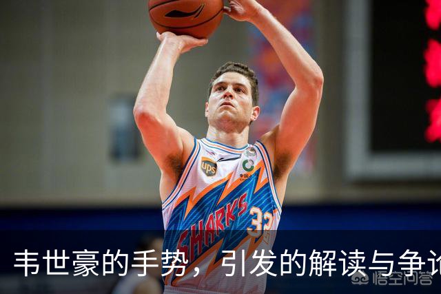 韦世豪的手势，引发的解读与争论